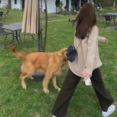 麻辣冤家